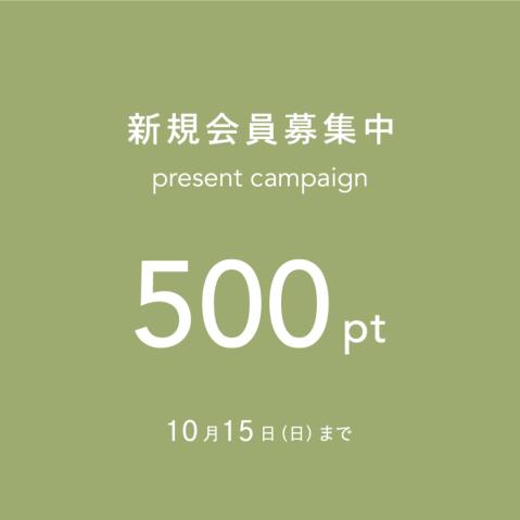 = 新規会員登録で500ptプレゼントキャンペーン =