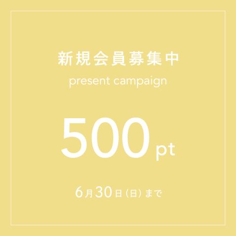 新規会員登録で500ptプレゼントキャンペーン