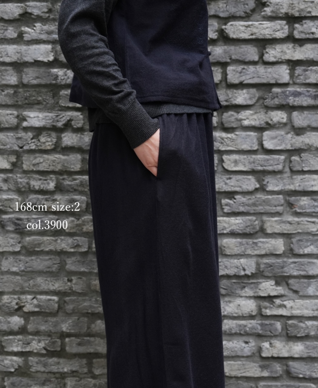 NMDS25605(パンツ)  BOILED WOOL PLAIN EASY PANTS